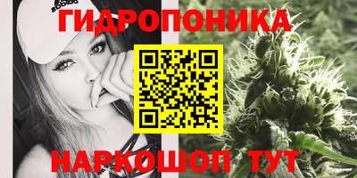 скорость Кинель
