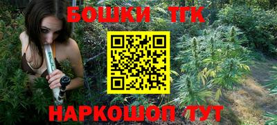 дживик Кингисепп