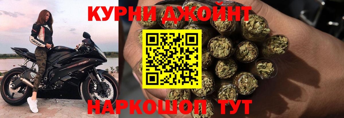 Бошки Шишки планчик Кузнецк